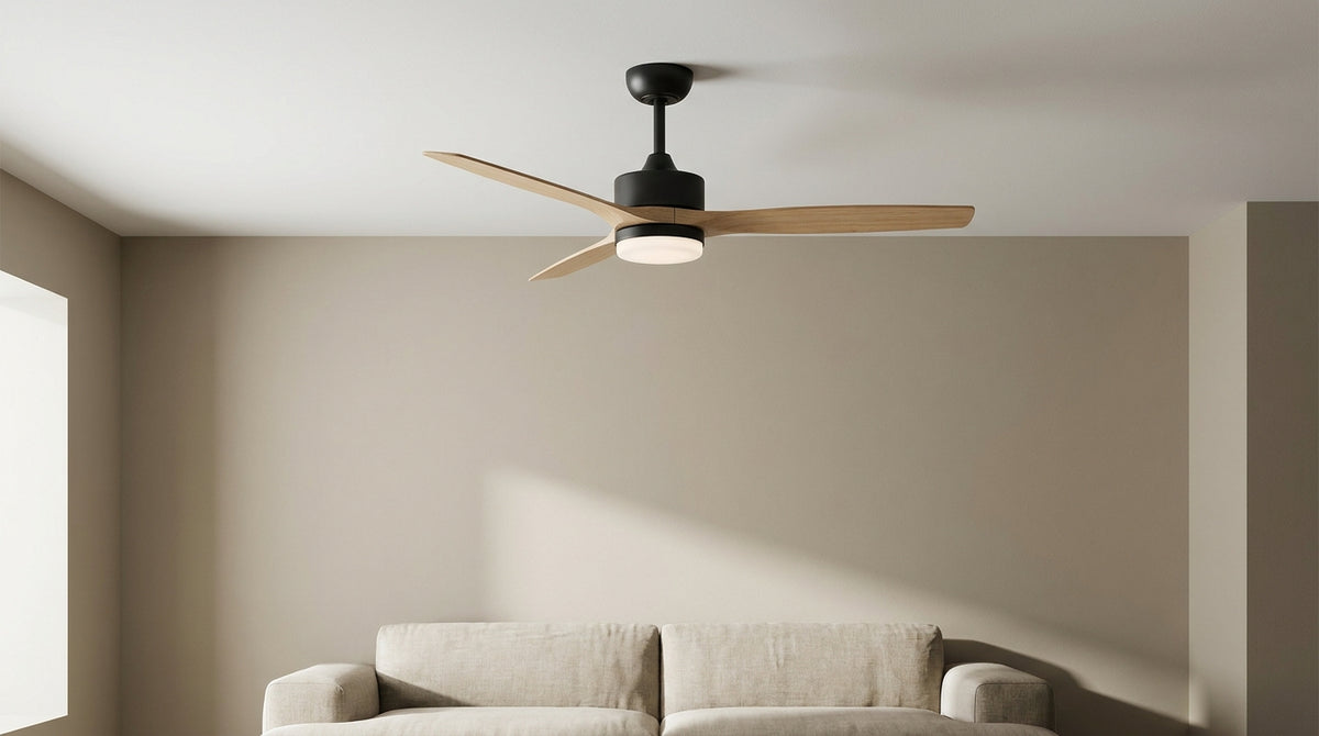 best ceiling fan light