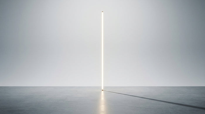 neon size