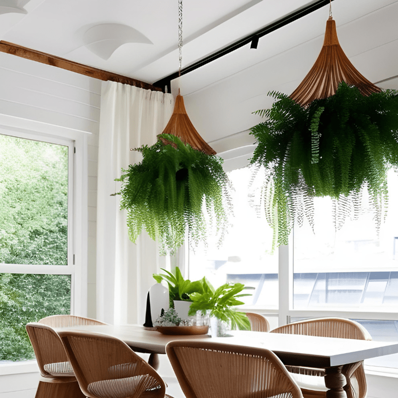 Incorporate hanging plants for a refreshing and trendy interior decor!