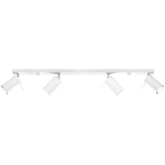 RING 4L Ceiling Light