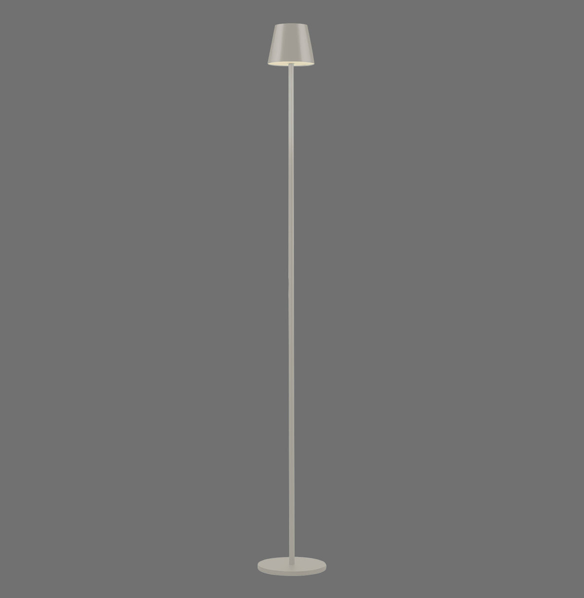 Vue de face du luminaire sur fond gris, pied rond, tige fine et abat-jour conique.