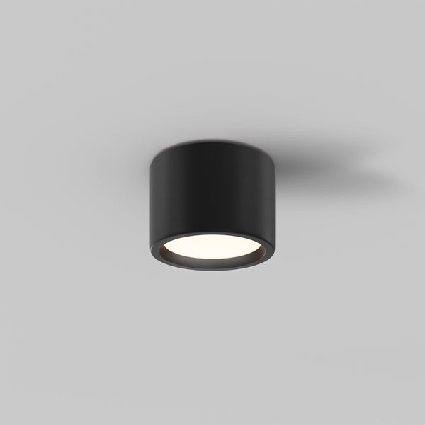 Hydra Black Ceiling Light