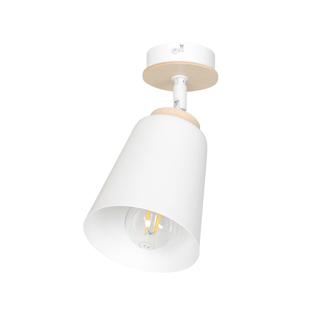 Atlas 1-light ceiling light white