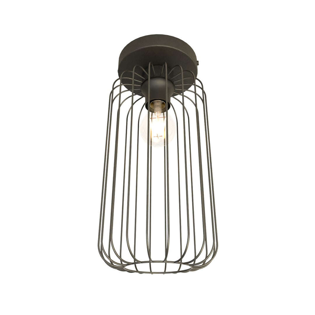 Black Barn ceiling light