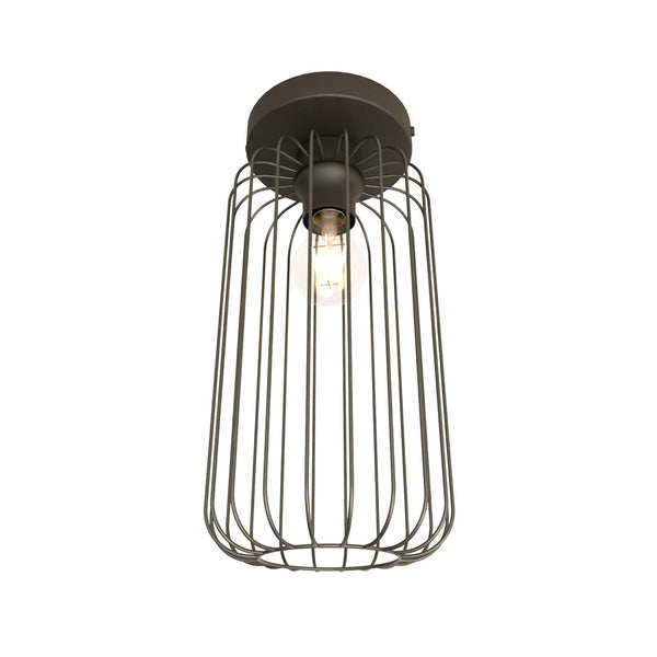 Black Barn ceiling light