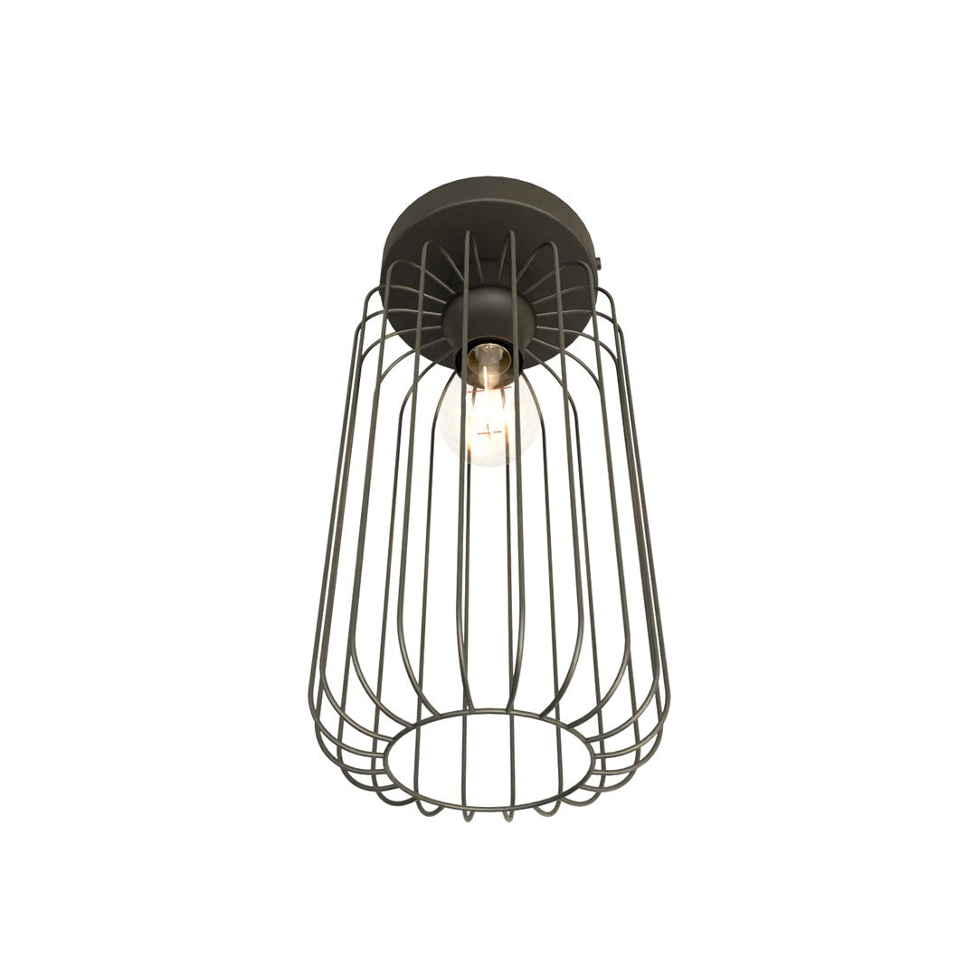 Black Barn ceiling light