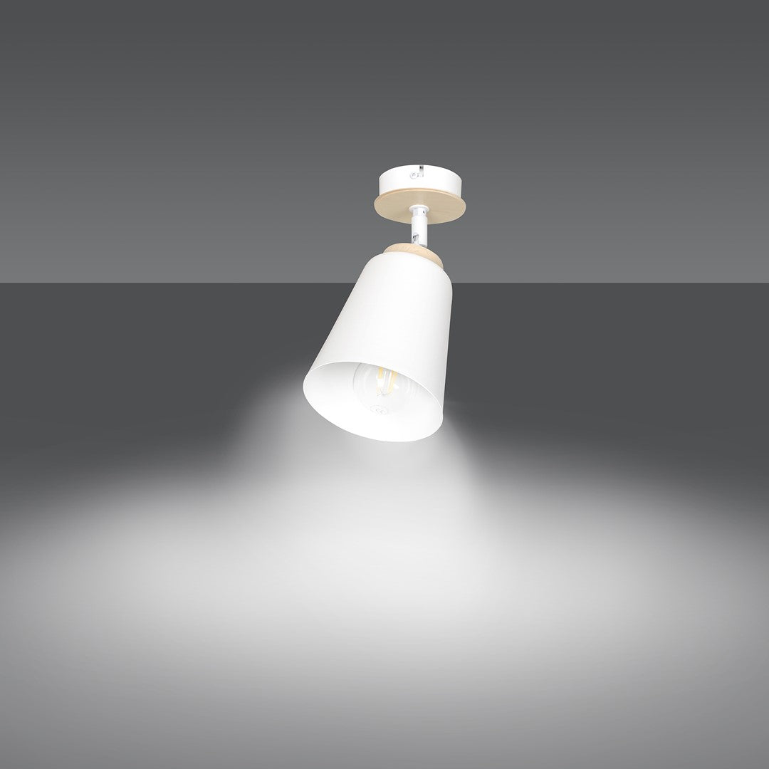 Atlas 1-light ceiling light white