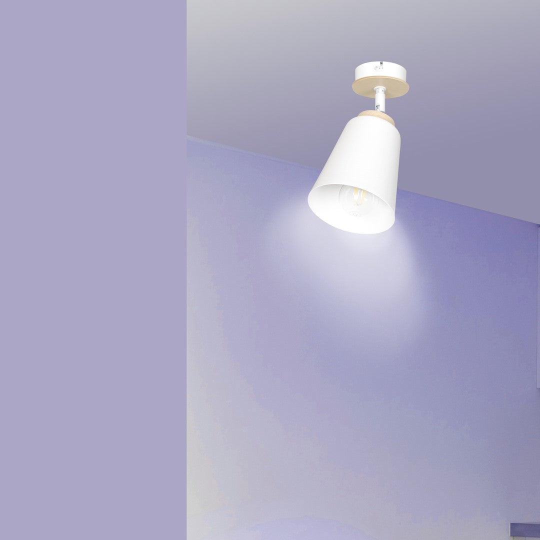Atlas 1-light ceiling light white