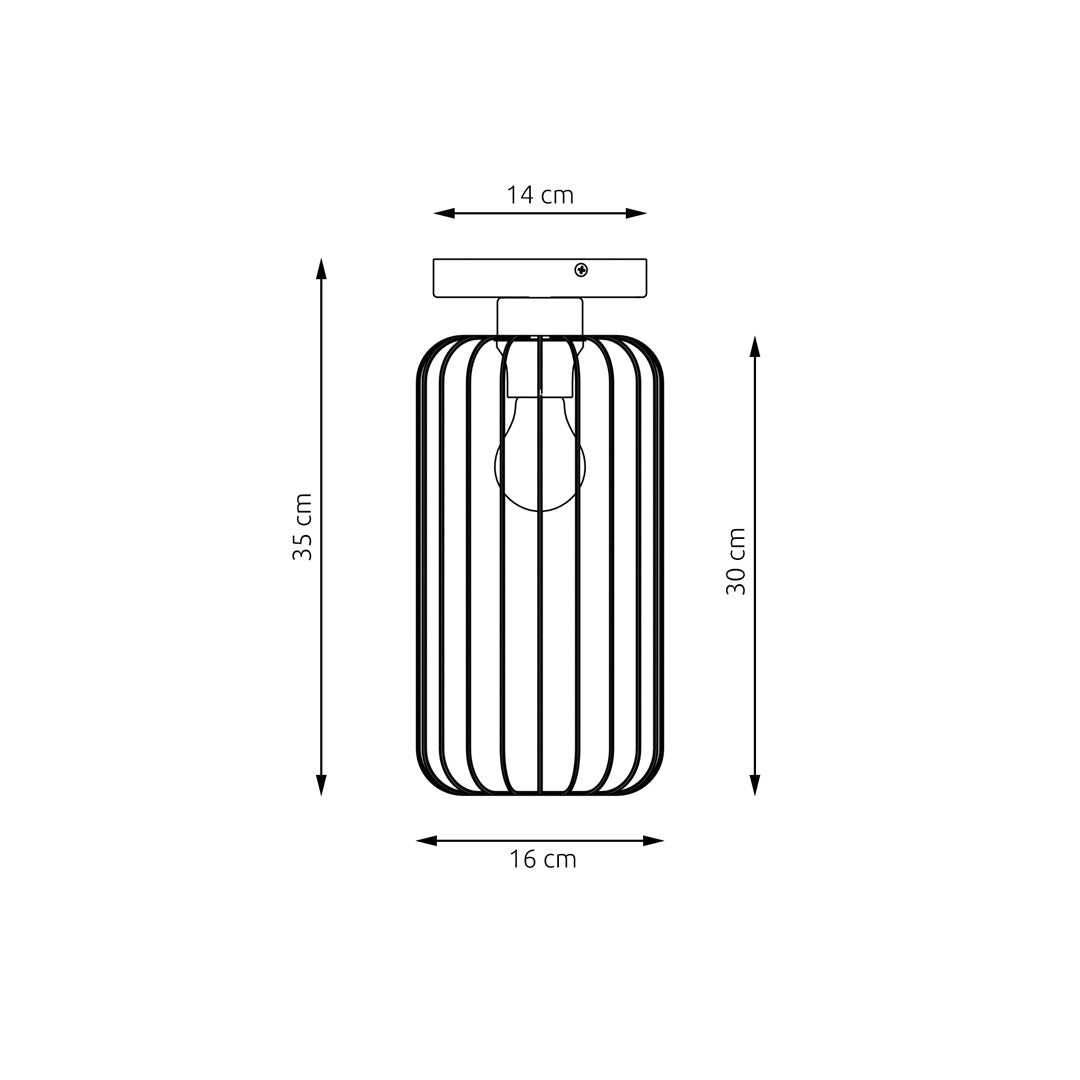Black Barn ceiling light