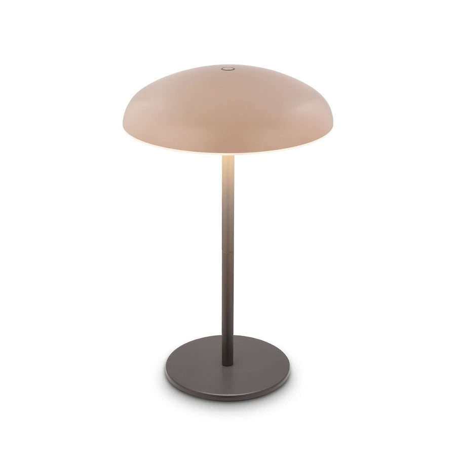 Lampe à poser d'extérieur LED Brilo en métal, anthracite et beige, Ø 19,5 cm, IP44