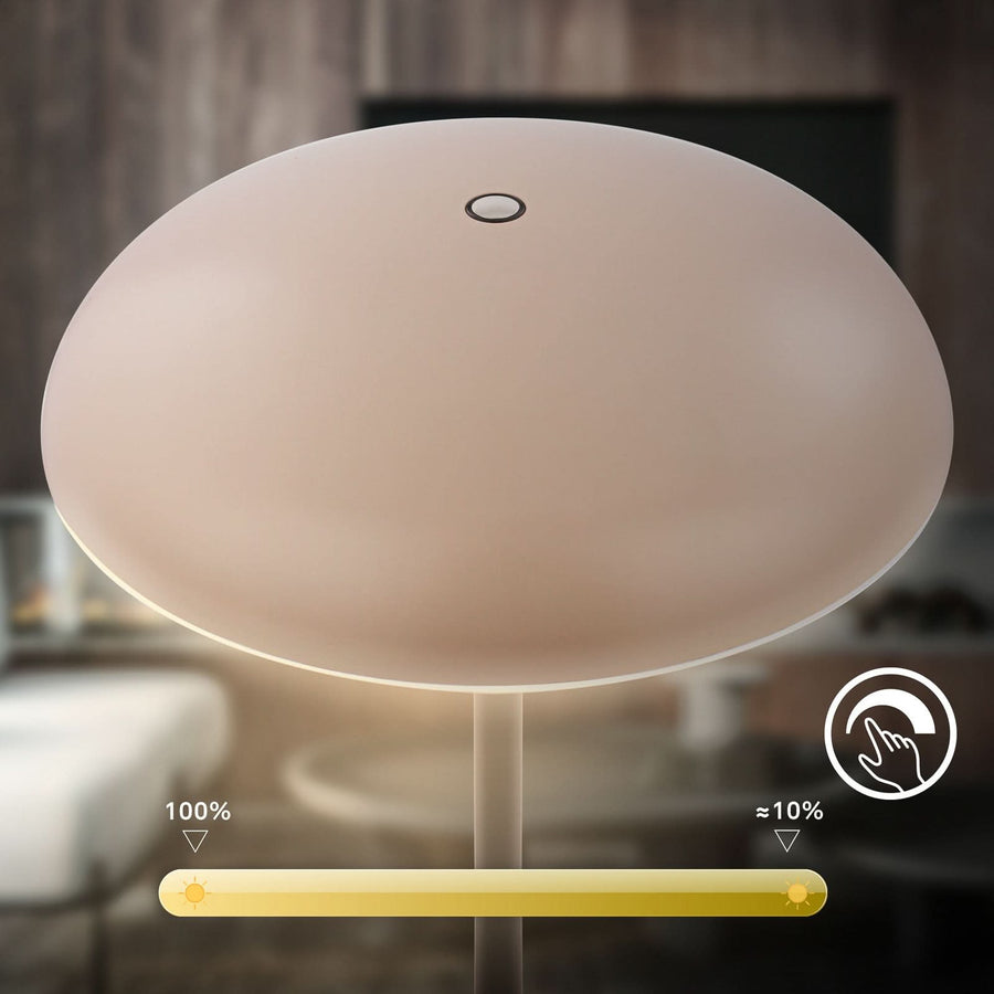 Lampe à poser d'extérieur LED Brilo en métal, anthracite et beige, Ø 19,5 cm, IP44