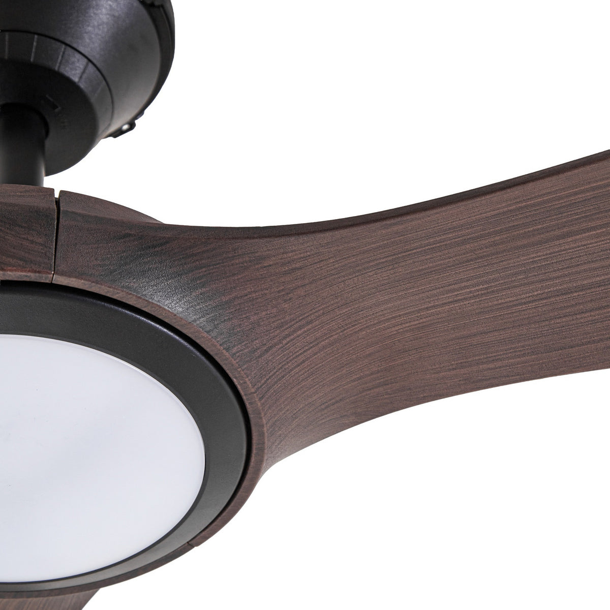 Détail rapproché de la pale noyer, du bord noir et du diffuseur lumineux blanc.
