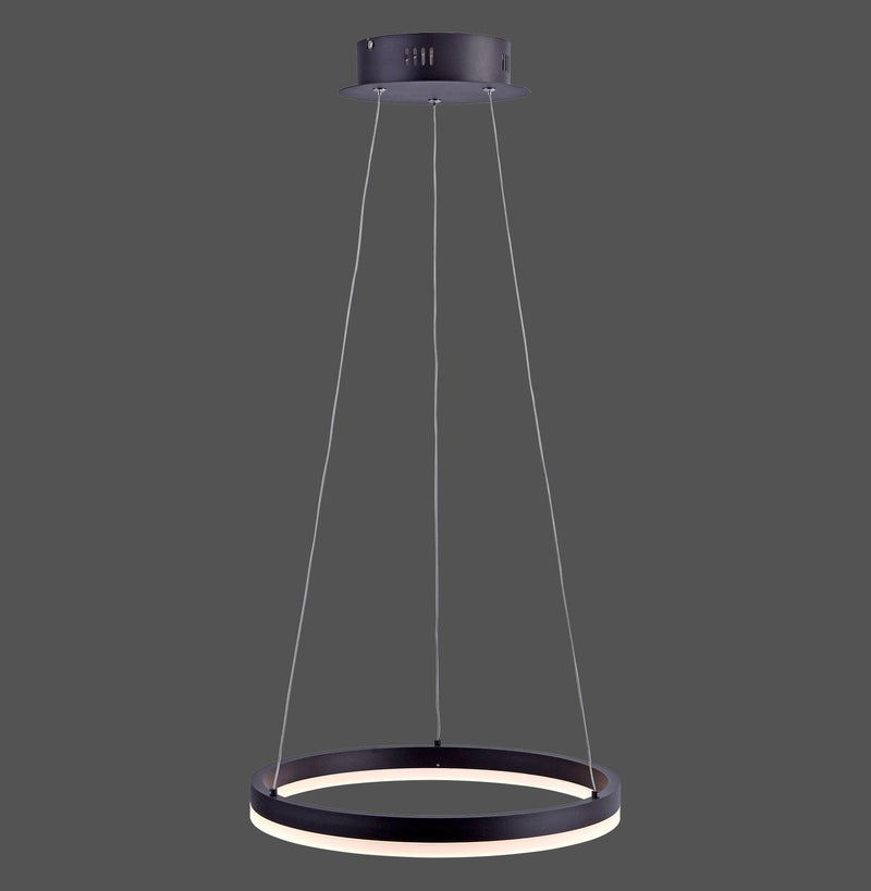 Suspension luminaire | Ringnoir