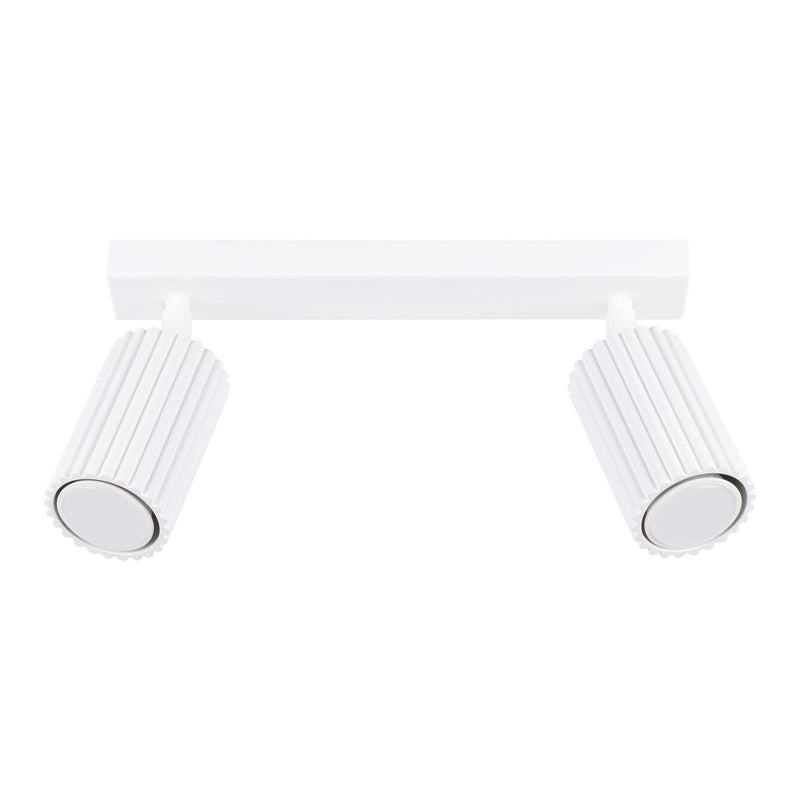 KARBON 2 2-light ceiling light