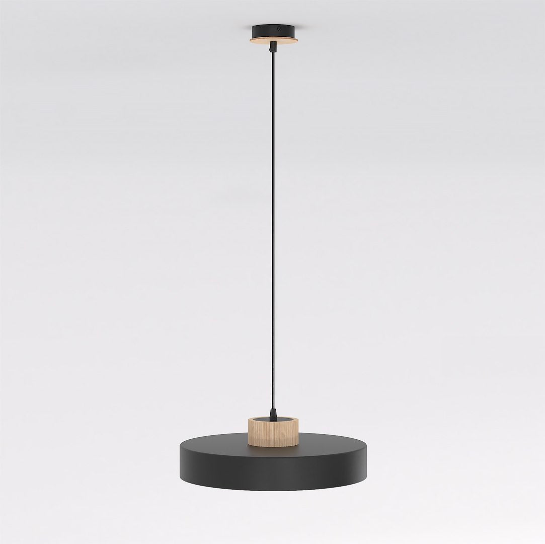 Second angle du produit montrant le disque plat et la fixation bois