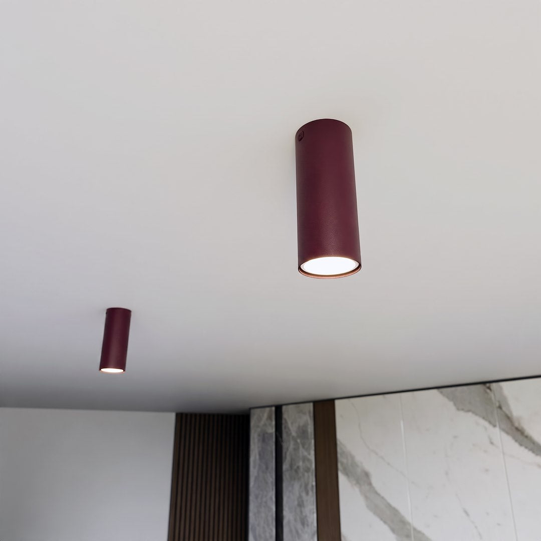 Deux spots cylindriques fixés au plafond blanc dans une pièce contemporaine