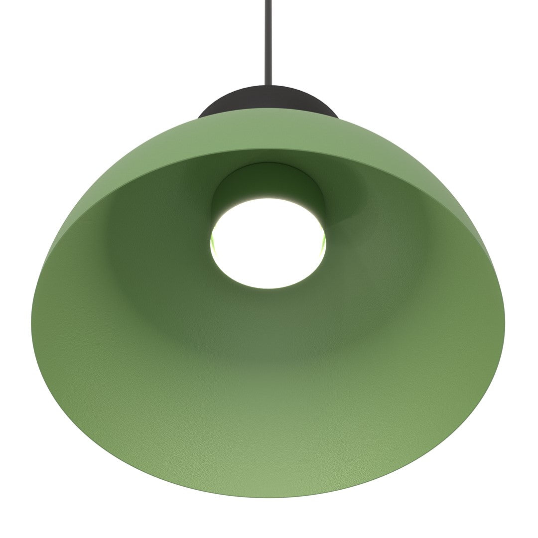 Lunaro 1-light black and green pendant light
