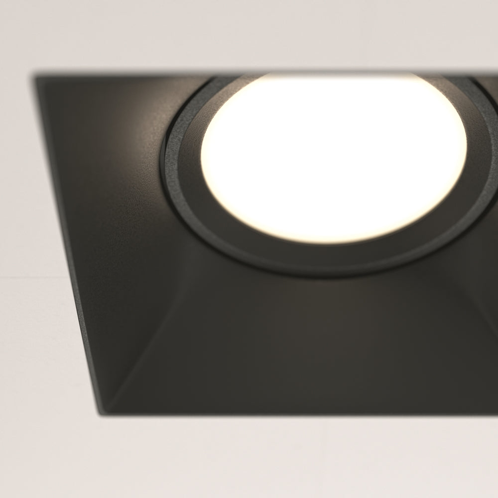 Dot Spot noir
