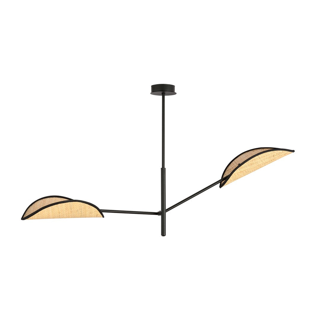 Vene 2-light black pendant light