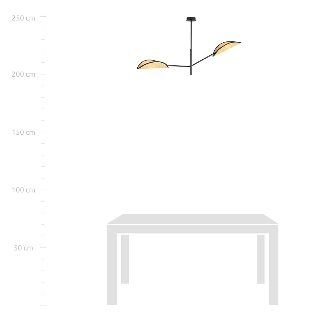 Vene 2-light black pendant light