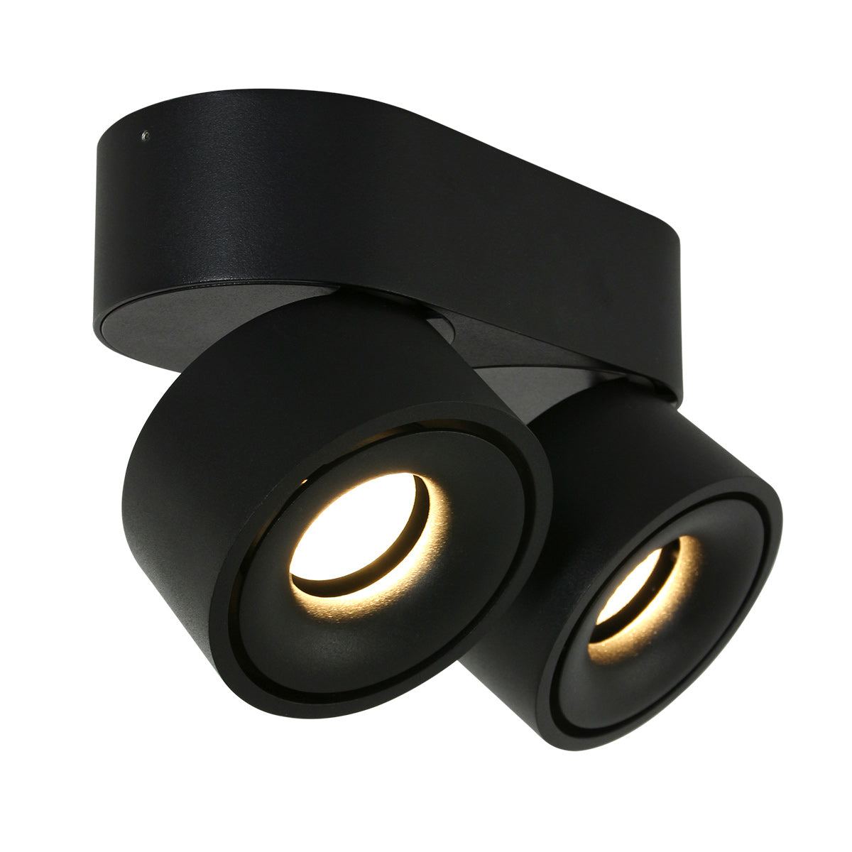 2-Light Modern Black Spotlight