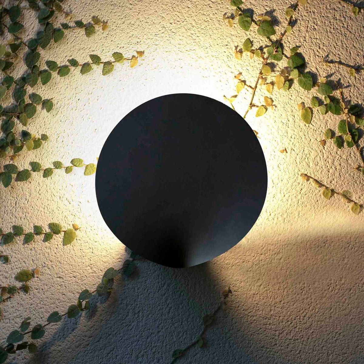 Applique d'extérieur LED Lotus en aluminium, anthracite, hauteur 9 cm, IP65