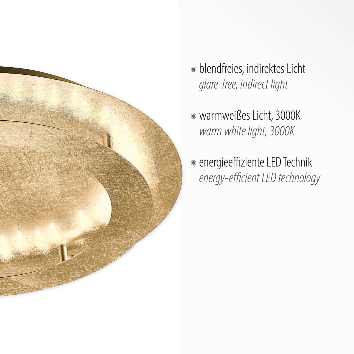 Détail du disque en feuille d'or avec mentions lumière indirecte et 3000K