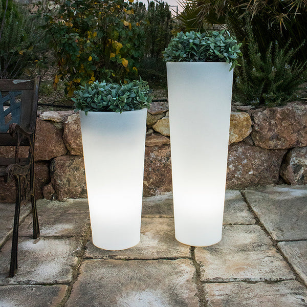 Ficus cylindrical illuminated planter
