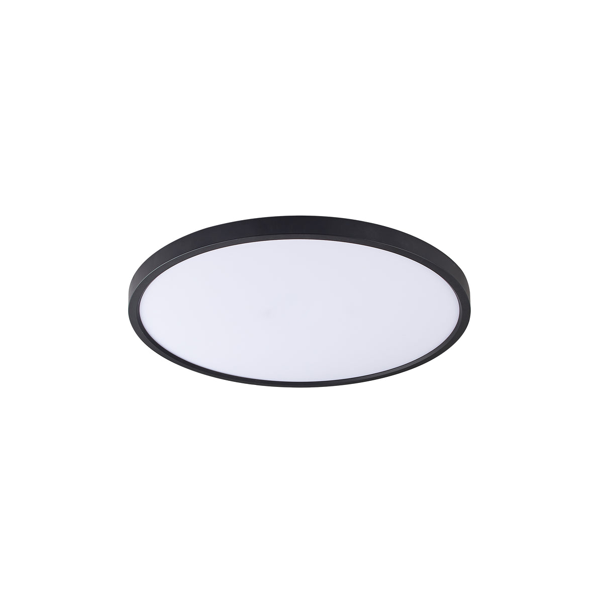 Vue rapprochée du plafonnier, cerclage noir fin et diffuseur blanc opalin.