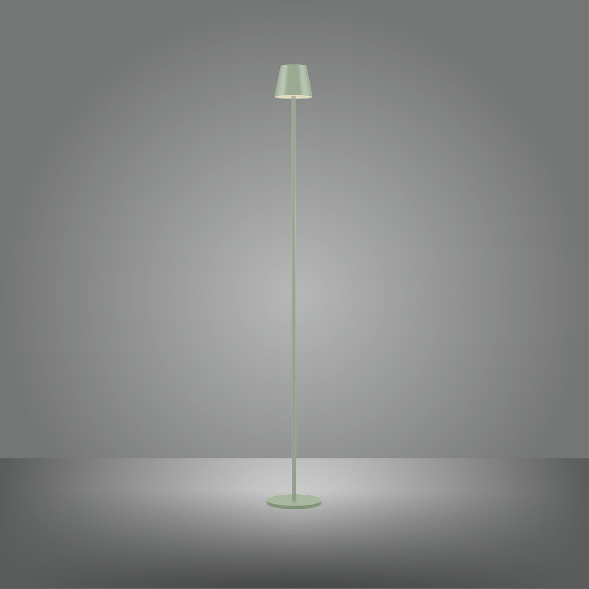 Silhouette du lampadaire éclairé dans une pièce sombre avec halo lumineux