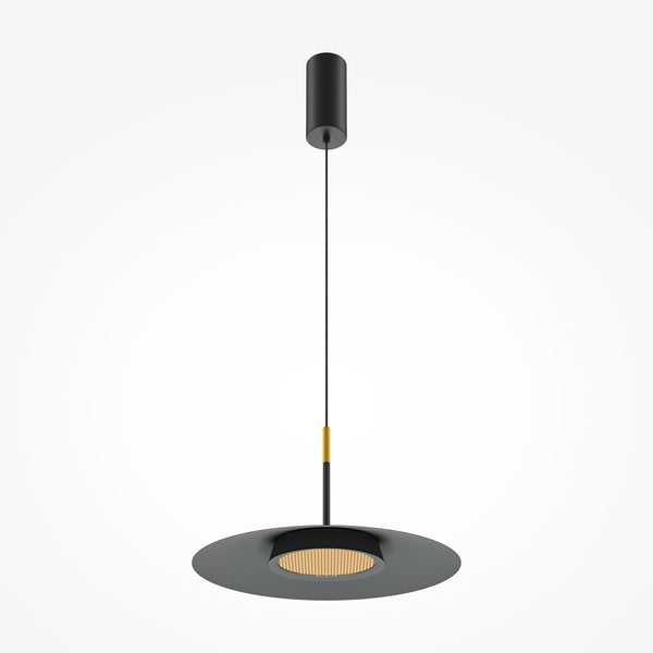 Black pendant light