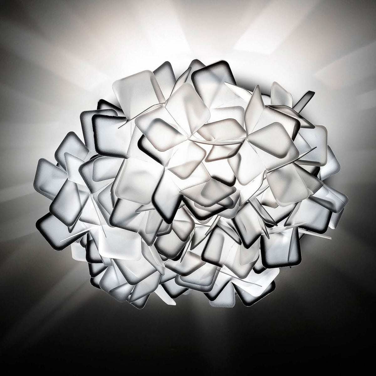 Applique murale Clizia, gris fumée, 2 lumières, Ø 53 cm