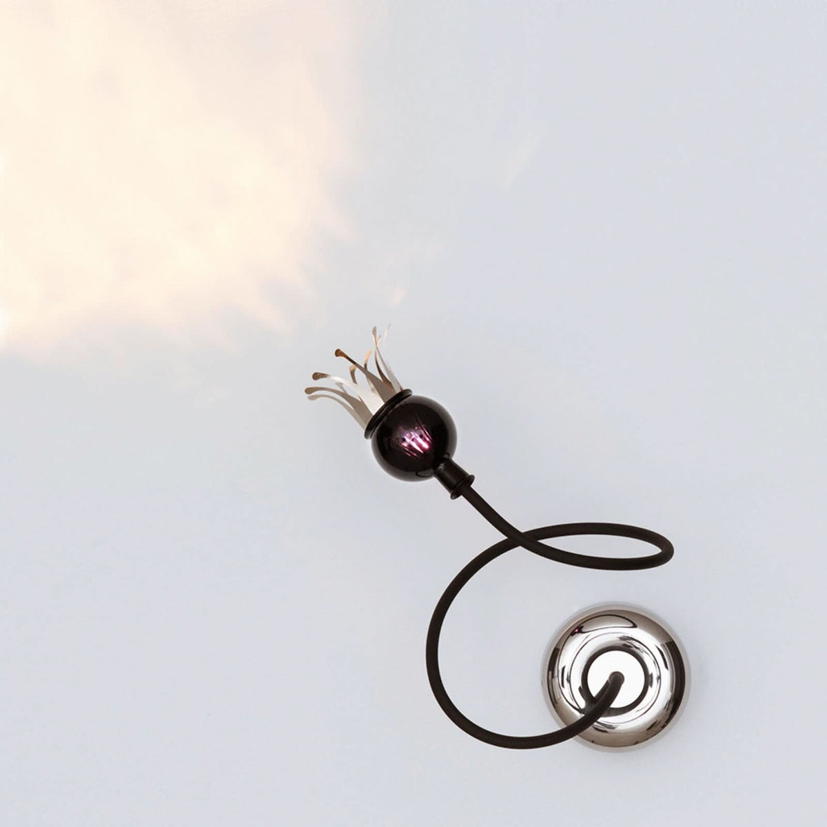 Applique murale Poppy en verre, noir et violet
