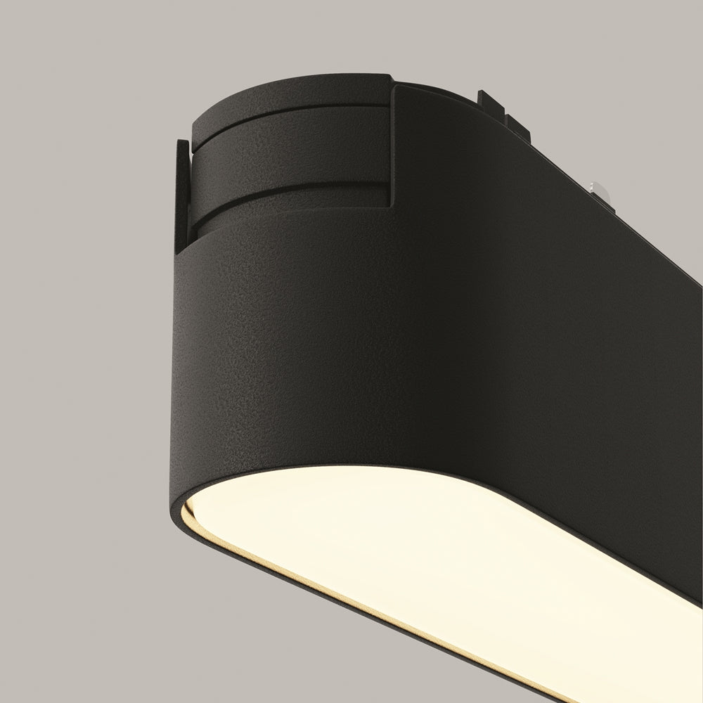 Basis Spot noir