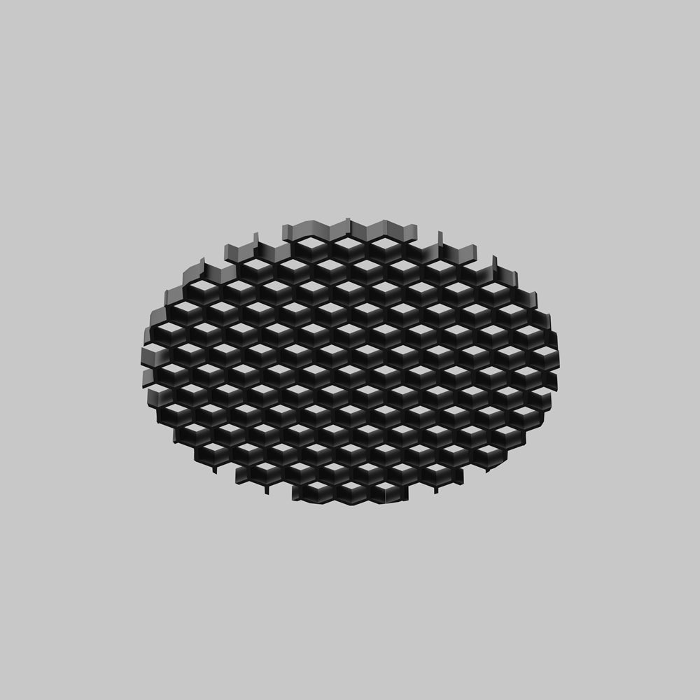 Dip Spot noir
