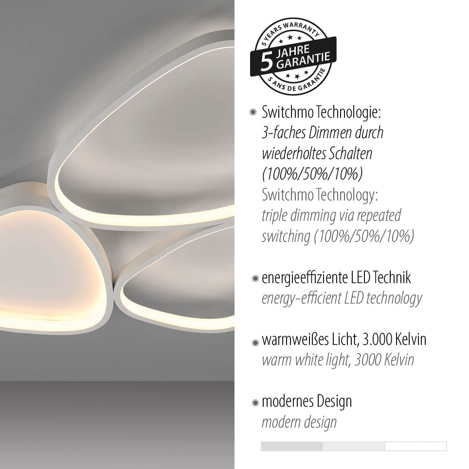 Gros plan sur le luminaire et badge de garantie cinq ans, avec mentions techniques bilingues.