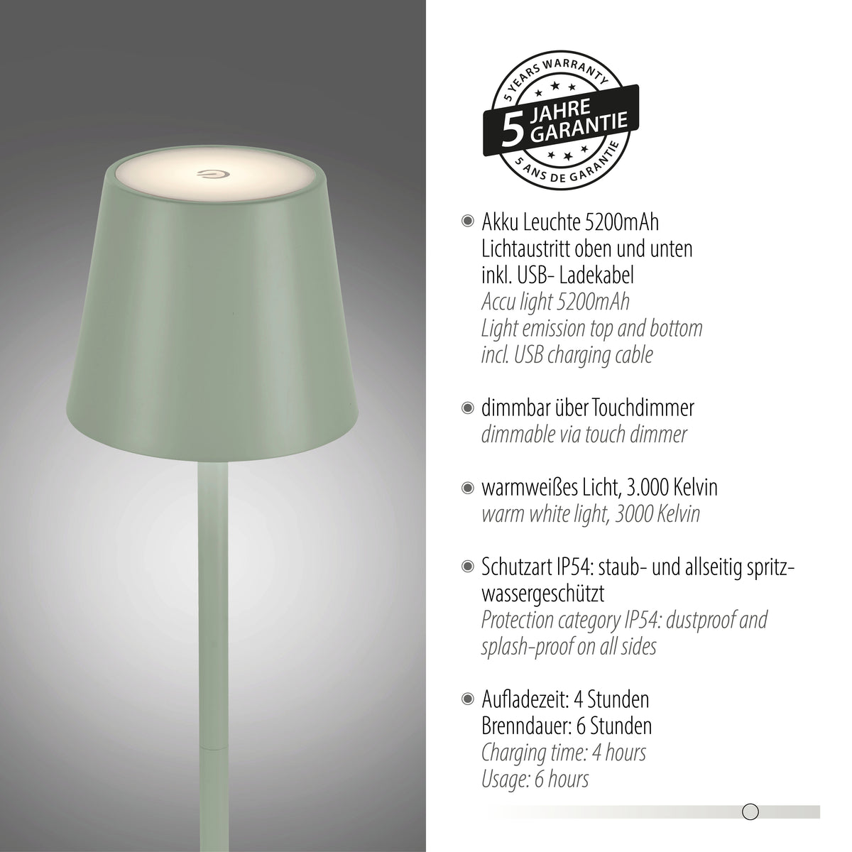 Fiche technique avec badge garantie 5 ans et rappel des caractéristiques de la lampe rechargeable.
