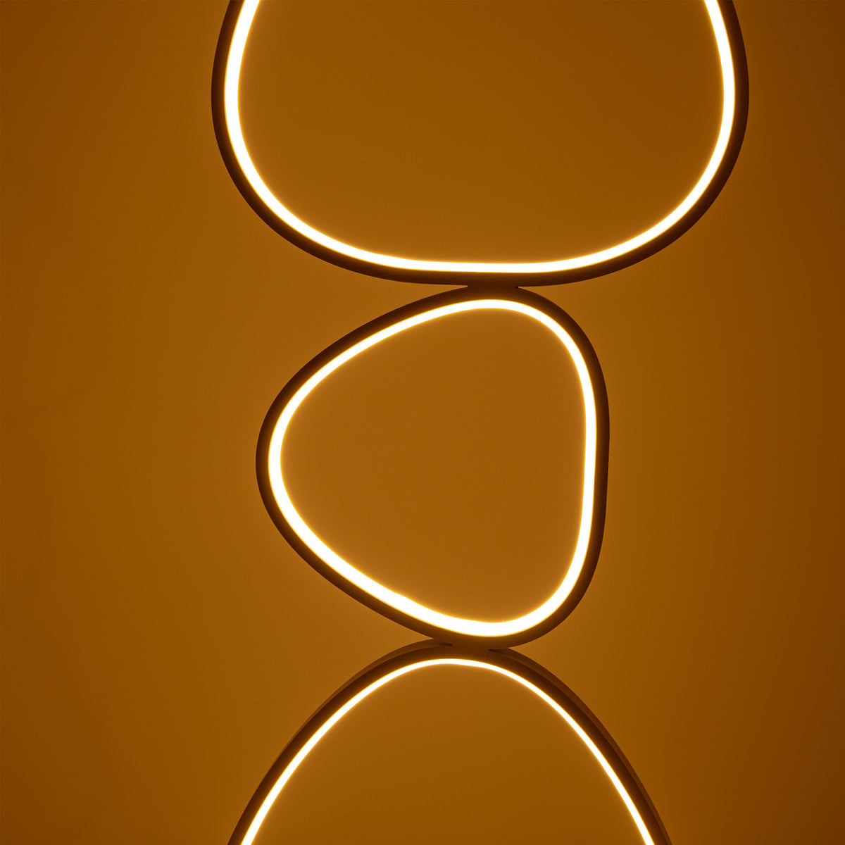 Détail de deux anneaux inférieurs éclairés, avec reflet sur la surface dorée.