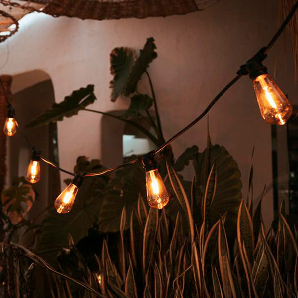 Allegra string lights with replaceable bulbs