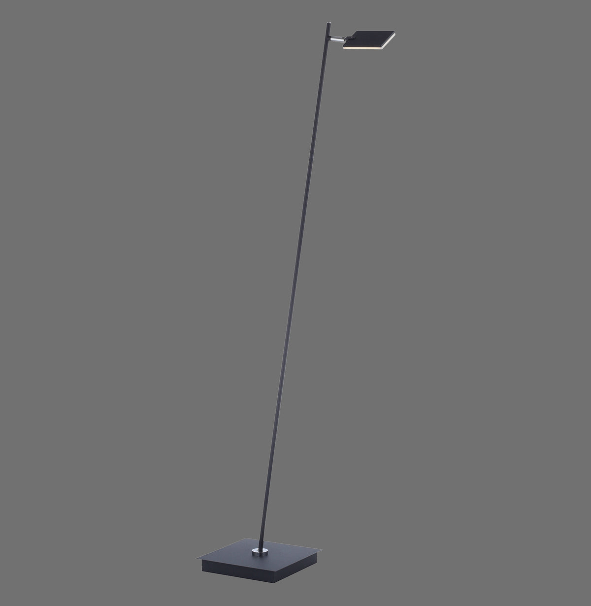 Lampadaire anthracite vu de face sur fond gris neutre, tige fine et tête rectangulaire