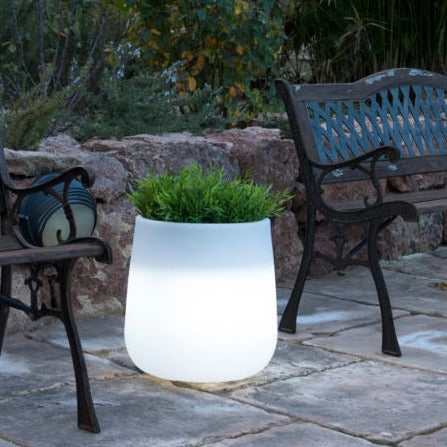 Camelia illuminated planter