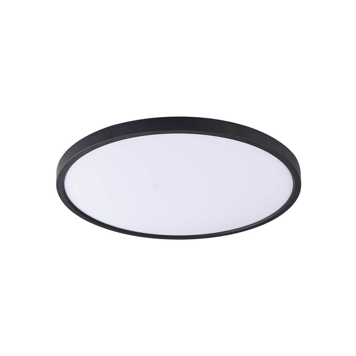 Vue de trois quarts montrant le cerclage noir fin et la coupole opaline