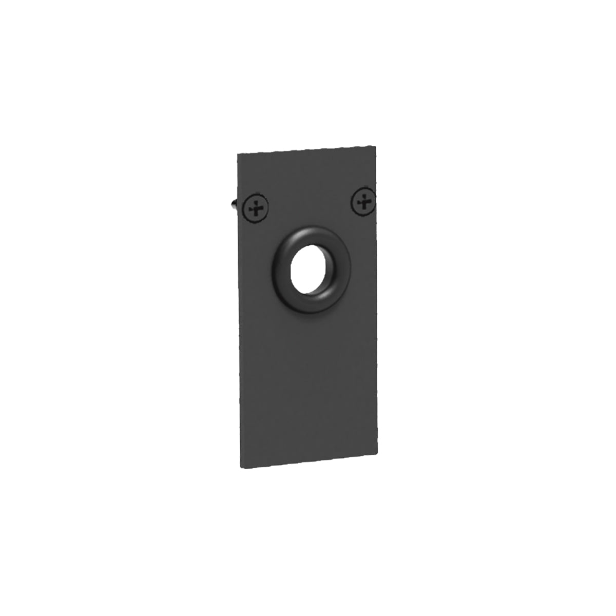 Embout noir pour rail 48 V, face avant et oeillet central de sortie.