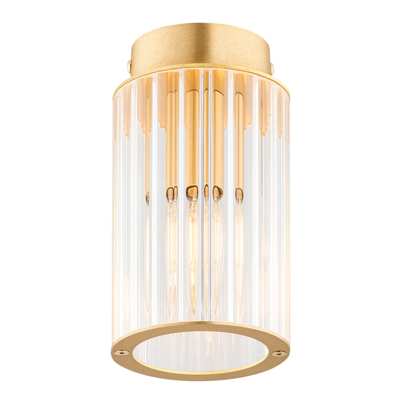Hampton 1-Light Ceiling Light