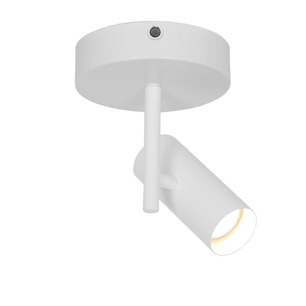 Plafonnier blanc orientable avec tête cylindrique inclinée vers le bas, vue de face.