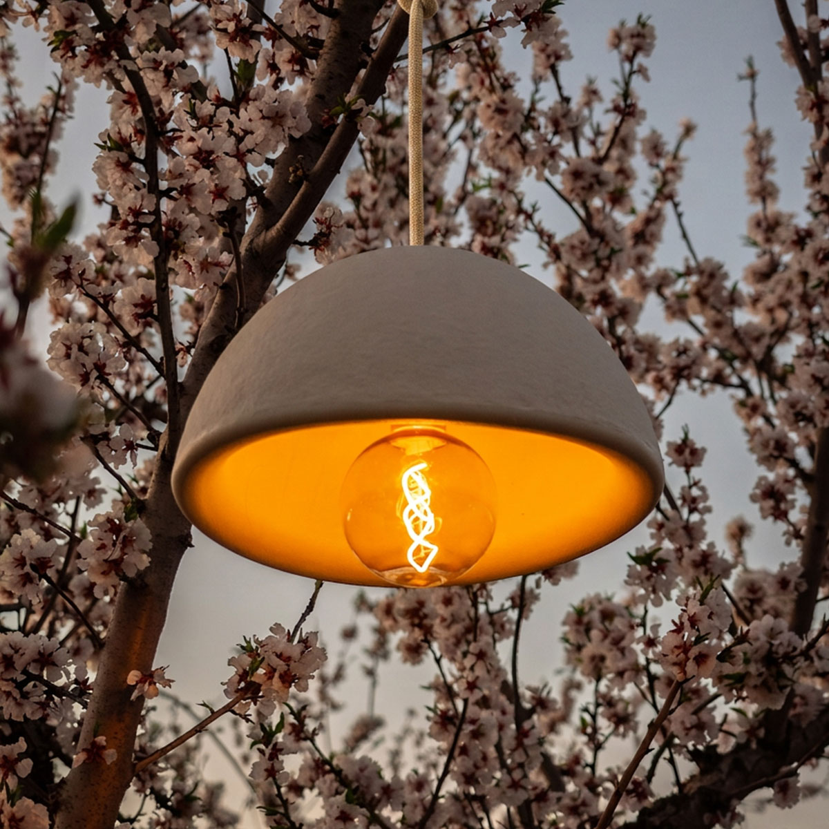 Suspension blanche allumée suspendue dans un cerisier en fleurs, éclairant délicatement les pétales.