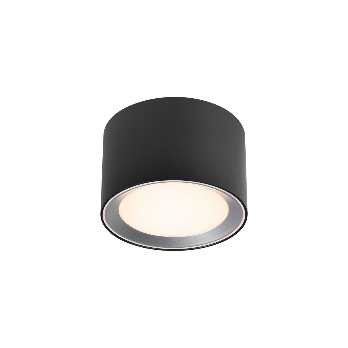 Plafonnier LED Landon Smart