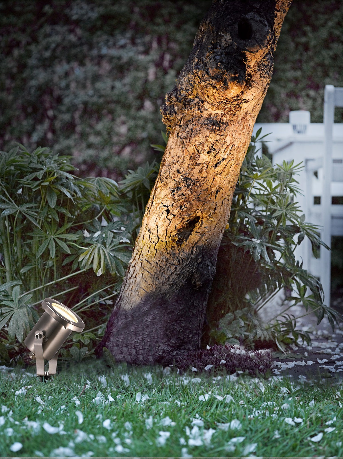Projecteur extérieur en inox planté dans l'herbe éclairant un tronc d'arbre