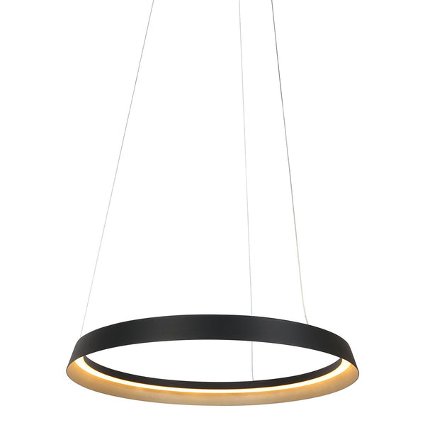 Ringlux black pendant light
