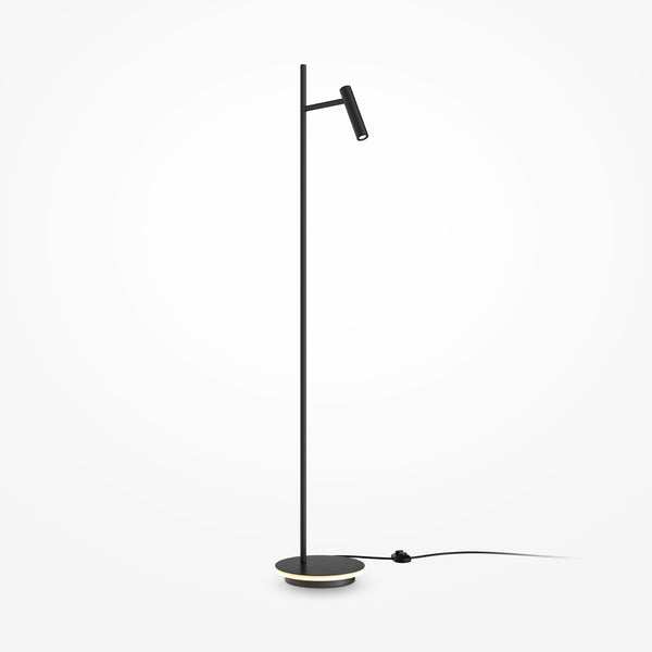 Black Floor Lamp Study
